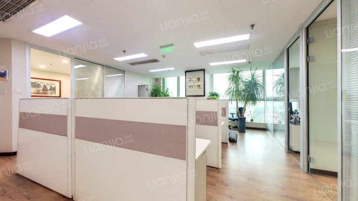 琨莎中心二手房实景图