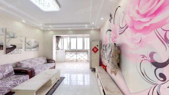 丽都名邸二手房实景图