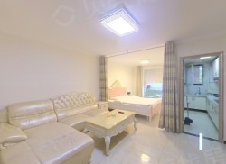 整租·雷捷时代广场二期 1室1厅 北_雷捷时代广场二期租房