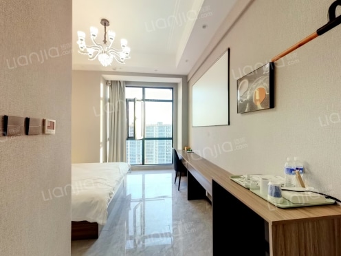 整租·绿地明湖城 1室1厅 南