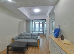 整租·金大地悦澜公馆 1室1厅 北_金大地悦澜公馆租房