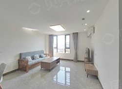 整租·星河·湾区壹号 3室2厅 东南/南_星河·湾区壹号租房