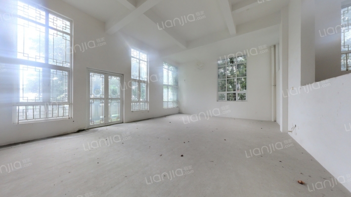 都江森林别墅二手房实景图