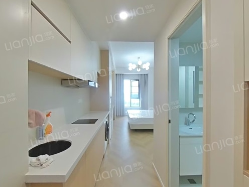 整租·置信逸都城 1室0厅 南