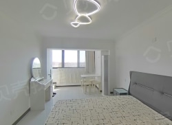 整租·盛世国际二期 1室1厅 东_盛世国际二期租房