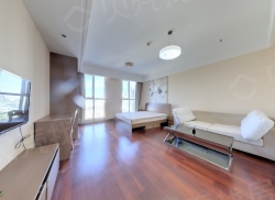 整租·环球金融城 1室1厅 南_环球金融城租房