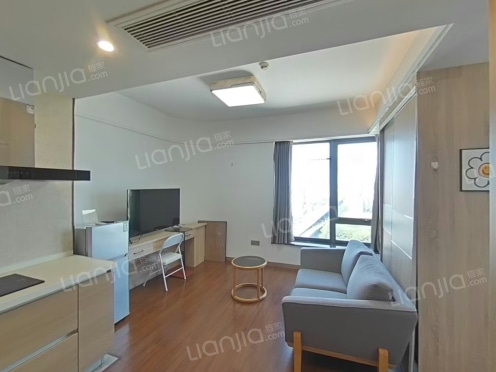 整租·狮山当代ΜΟΜΛ 1室1厅 西北