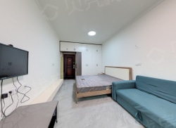 整租·传世启悦府 1室1厅 西北_传世启悦府租房