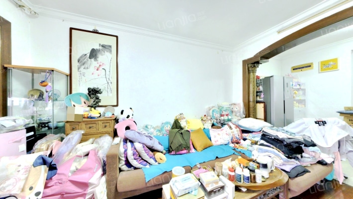 玉树公寓二手房实景图