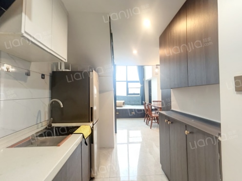 整租·东盈商业广场 1室1厅 复式 南