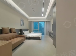 整租·宝龙城 1室1厅 南_宝龙城租房