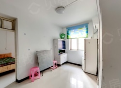 整租·健康路税务局家属楼 2室1厅 南_健康路税务局家属楼租房