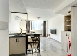 整租·红星新天地 1室0厅 南_红星新天地租房