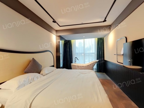 整租·桥南路 1室1厅 南