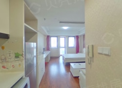 整租·巴比伦国际广场 1室1厅 南_巴比伦国际广场租房