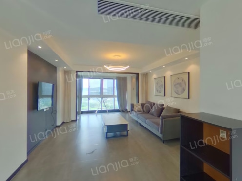 整租·望湖湾 3室2厅 南