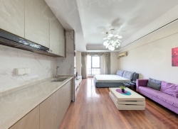 整租·万达广场 1室1厅 北_万达广场租房