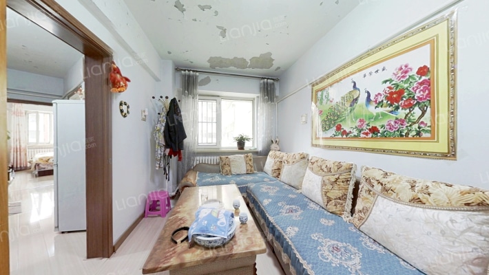 亚泰花园桃花苑二手房实景图