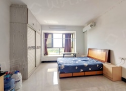 整租·文源华都紫京城 1室1厅 南_文源华都紫京城租房