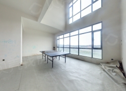 整租·桃花岛 5室3厅 跃层 南_桃花岛租房