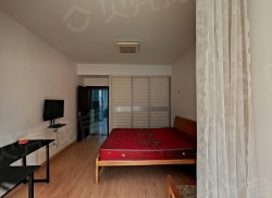 整租·紫薇二村南区 1室1厅 南_紫薇二村南区租房