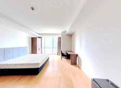 整租·上海中心城开国际 1室1厅 西_上海中心城开国际租房