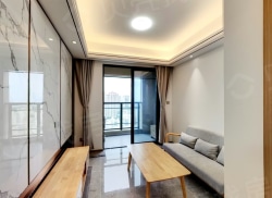 整租·海投自贸天际 2室2厅 南_海投自贸天际租房