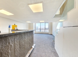 整租·星海凯泰铭座 1室1厅 复式 西南_星海凯泰铭座租房