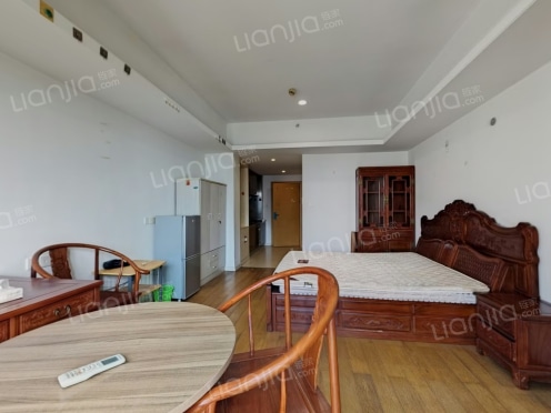 整租·顶峯上一广场 1室1厅 南