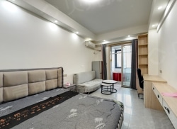 整租·凯旋广场公寓 1室1厅 南_凯旋广场公寓租房