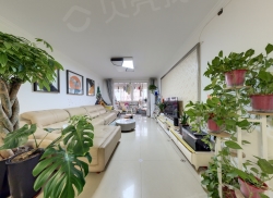 整租·阳光嘉苑 2室2厅 南_阳光嘉苑租房