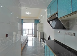 整租·胜利茶博城 1室1厅 南_胜利茶博城租房