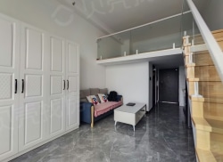 整租·岩峰·欢乐颂 1室0厅 南_岩峰·欢乐颂租房