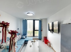 整租·三盛星悦城 1室1厅 南_三盛星悦城租房