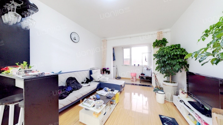 新都心苑二手房实景图