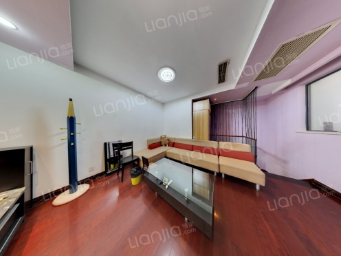 整租·铂金公寓 2室2厅 复式 南