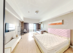 整租·太湖ONE 1室1厅 南_太湖ONE租房