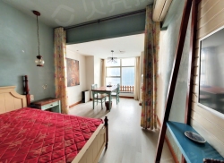 整租·东方威尼斯 1室1厅 南_东方威尼斯租房