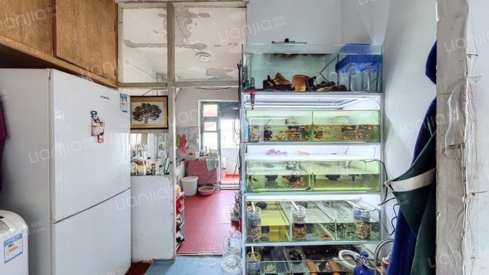 回民社区二手房实景图