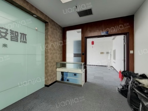 整租·东合发展中心 4室0厅 南