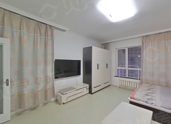 整租·休斯顿公寓 1室1厅 南_休斯顿公寓租房