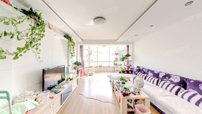 圣淘沙家园二手房实景图