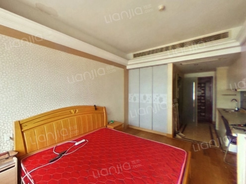 整租·巴比伦国际广场 1室1厅 南