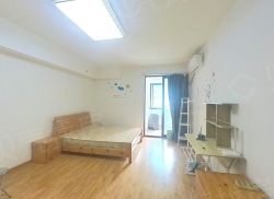 整租·东方万汇尊邸 1室1厅 南_东方万汇尊邸租房