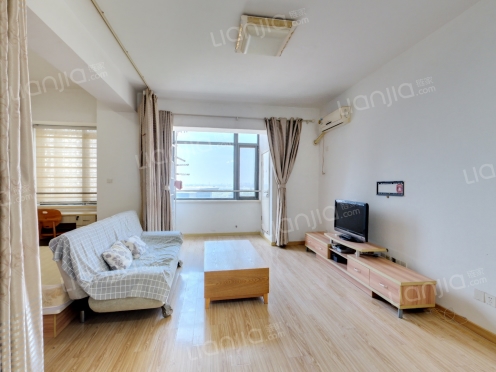 整租·家速度公馆 1室1厅 南