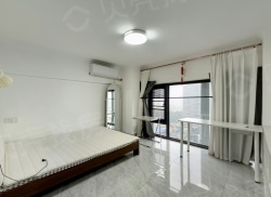 整租·红星新天地 2室2厅 南_红星新天地租房