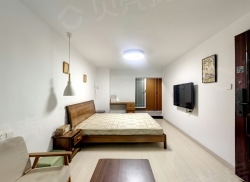 整租·汉口城市广场SOHO 1室1厅 东_汉口城市广场SOHO租房