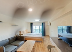 整租·碧桂园世纪滨江 1室1厅 南_碧桂园世纪滨江租房