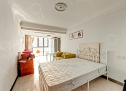 整租·银湖九号 1室1厅 南_银湖九号租房