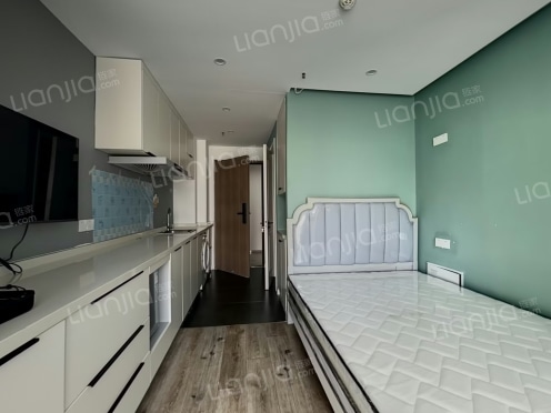 整租·芯汇湖商务中心 1室1厅 北